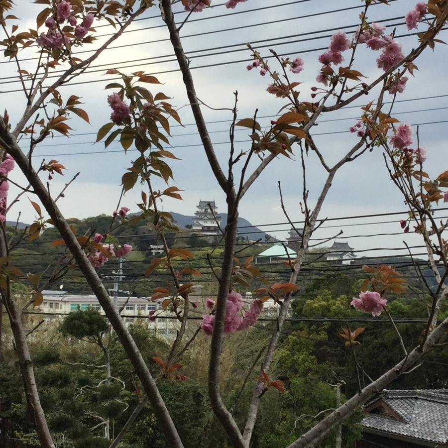 Hotel Saiyo Wakigawa Hirado Eksteriør billede